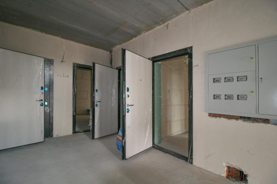 Гайворонский 4 - фото 4